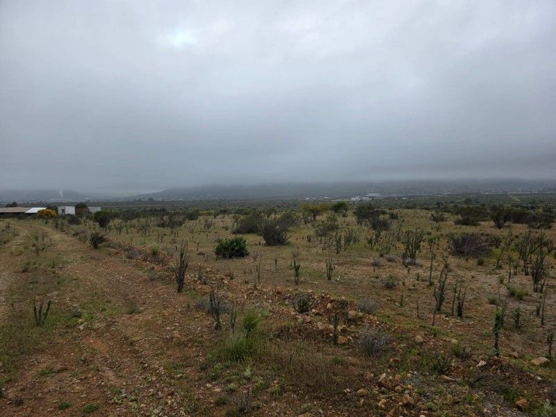 Terreno 100000m² en venta en Coquimbo · CLP 120.000.000