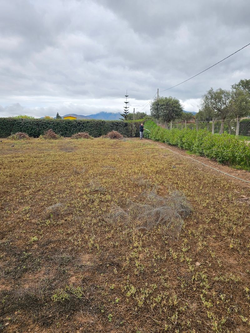Terreno 5000m² en venta en Coquimbo · CLP 95.000.000